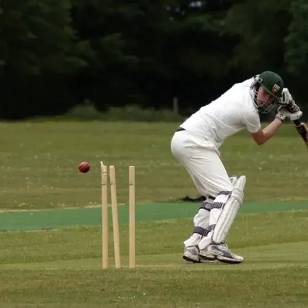 “了解板球盤口及比賽結果預測 | 現代團隊運動起源於英格蘭”