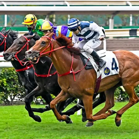 “馬術運動中的重要投注方式 – 賽馬盤口教學”