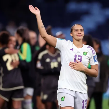 英國製造星級的牙買加鋼門